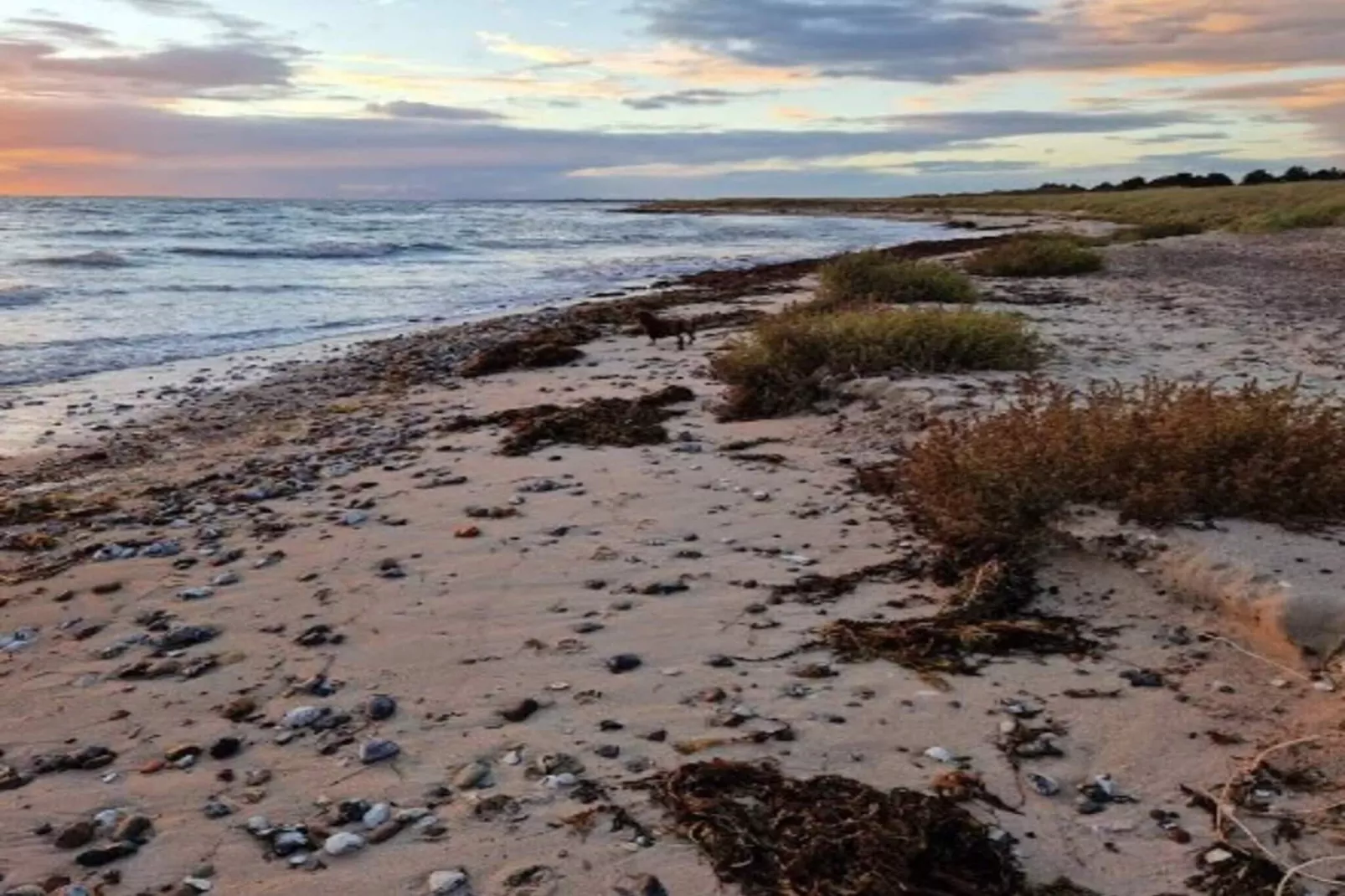 6 persoons vakantie huis in Dannemare-By Traum-Buitenlucht