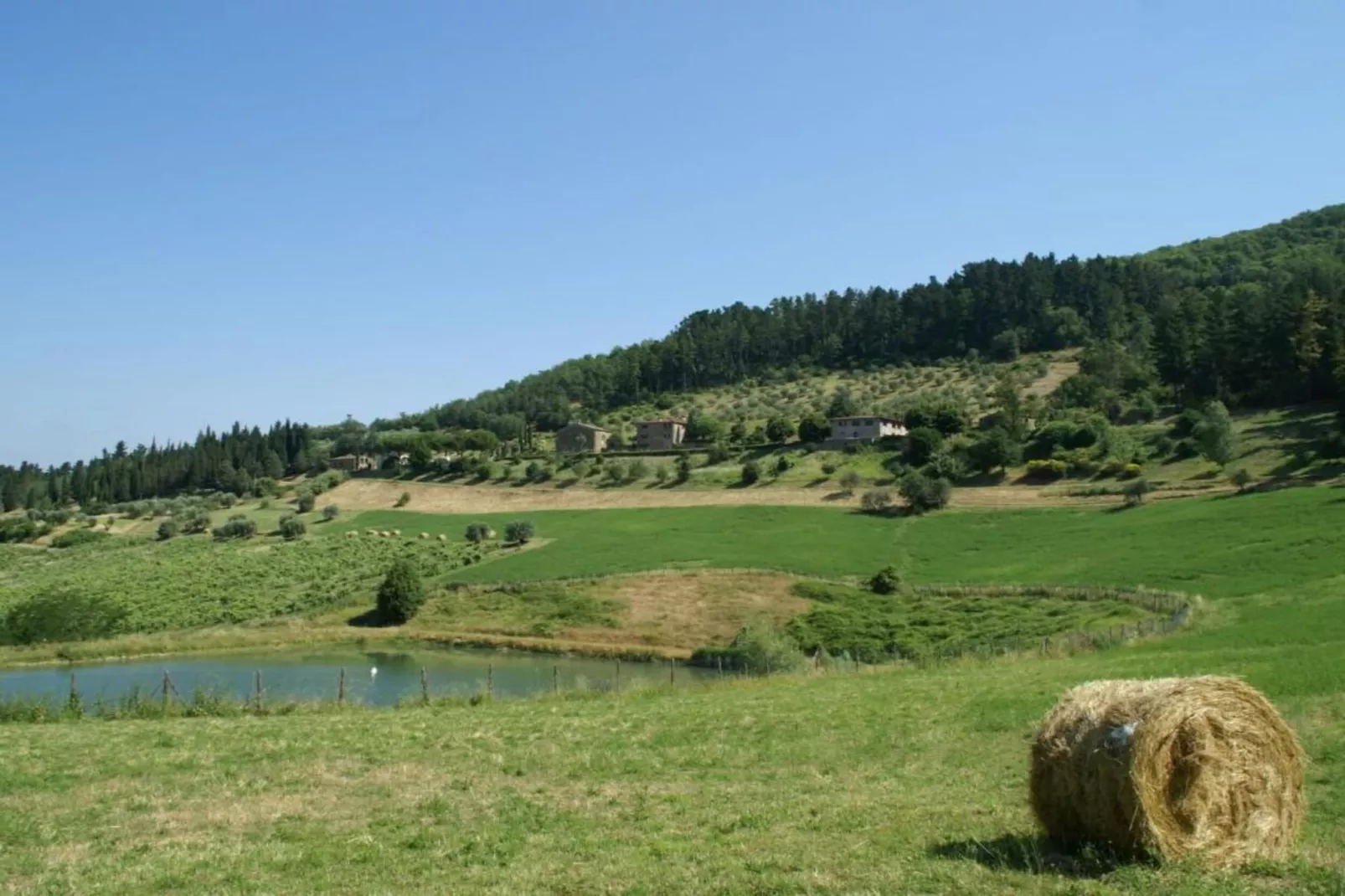Olequarto-Gebieden zomer 20km