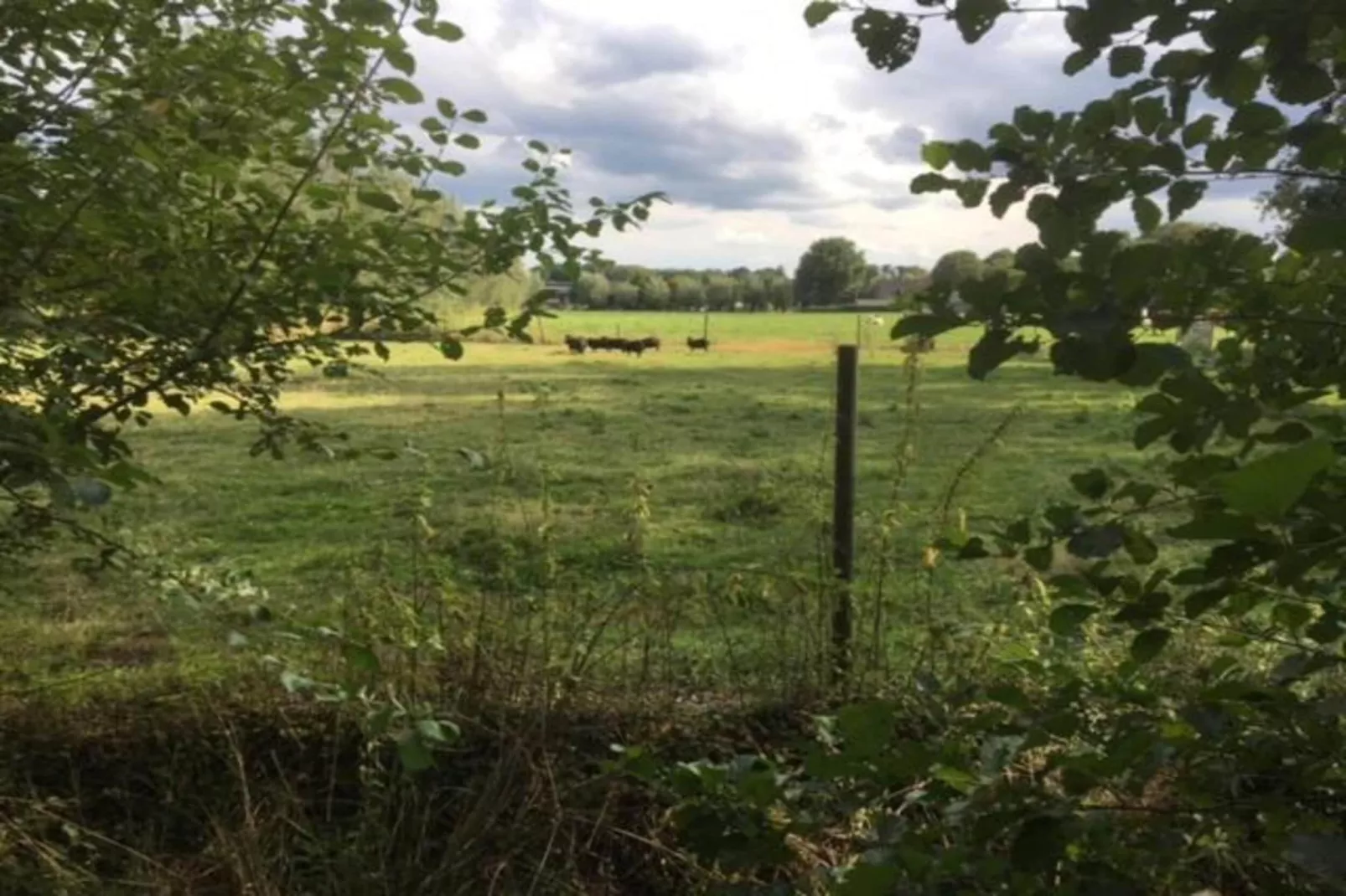 Vakantiepark Sandberghe 13-Gebieden zomer 20km