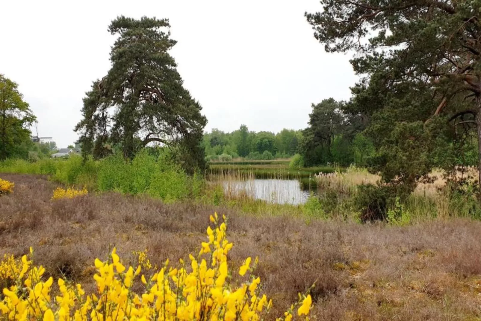 Vakantiepark 't Broeckhuys 8-Gebieden zomer 20km