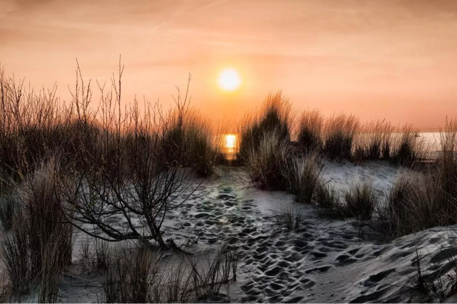 Parkhouse B201 2B-Gebieden zomer 20km