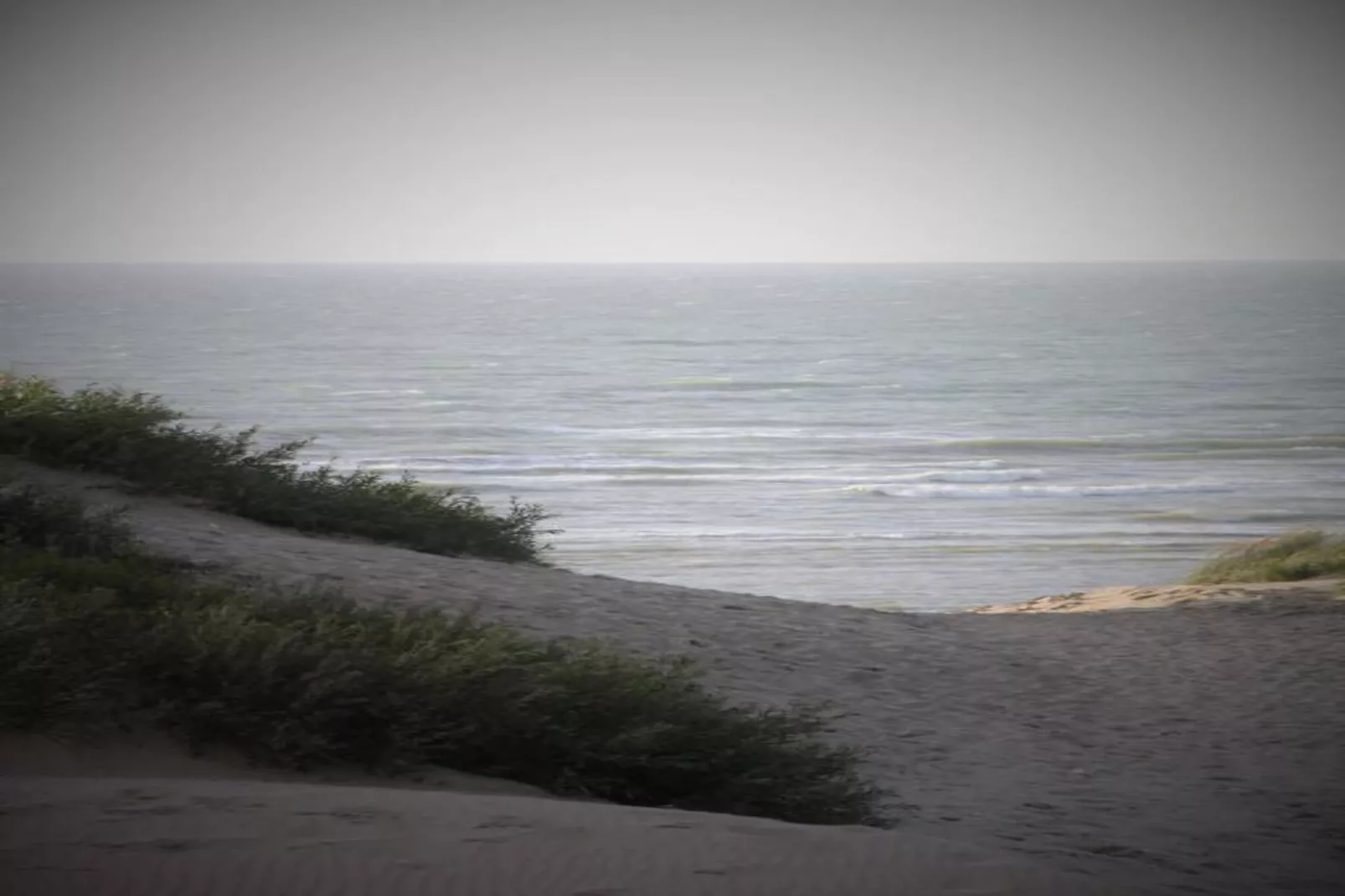 Ter Poel 0001-Gebieden zomer 5km