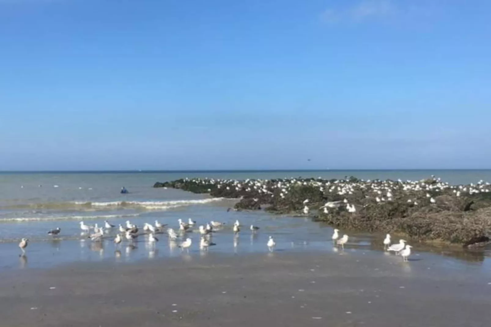La Frégate-Gebieden zomer 20km