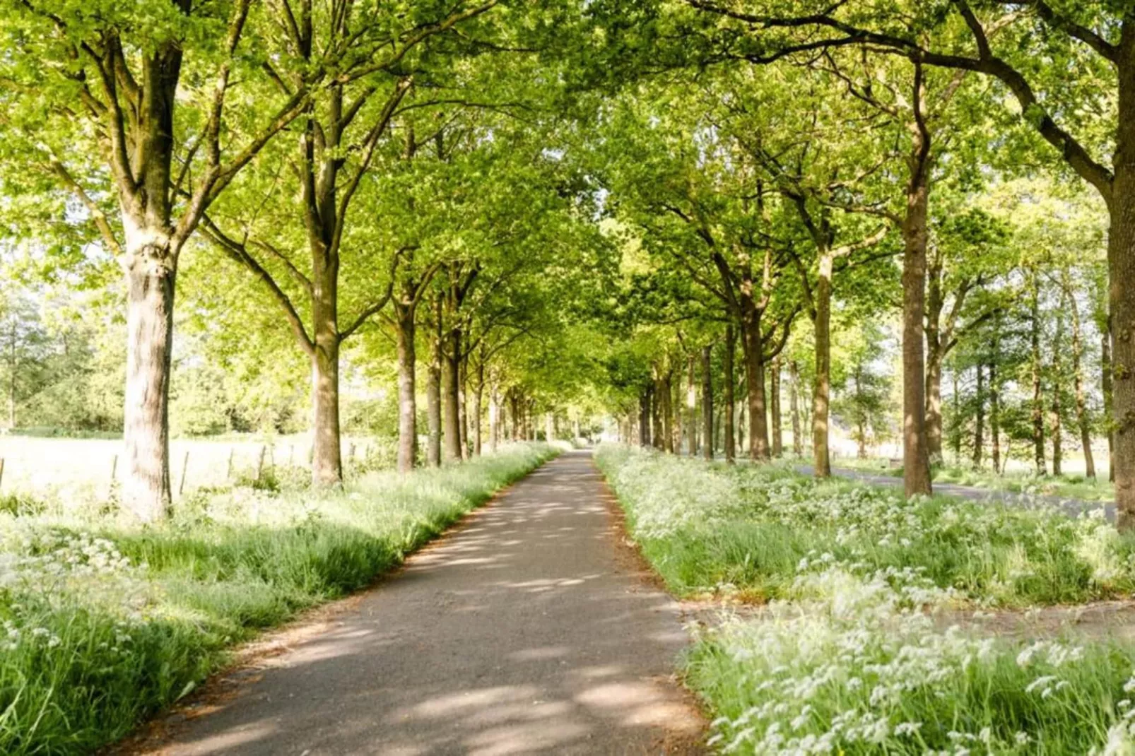 Boerderij De Wilgen-Gebieden zomer 5km