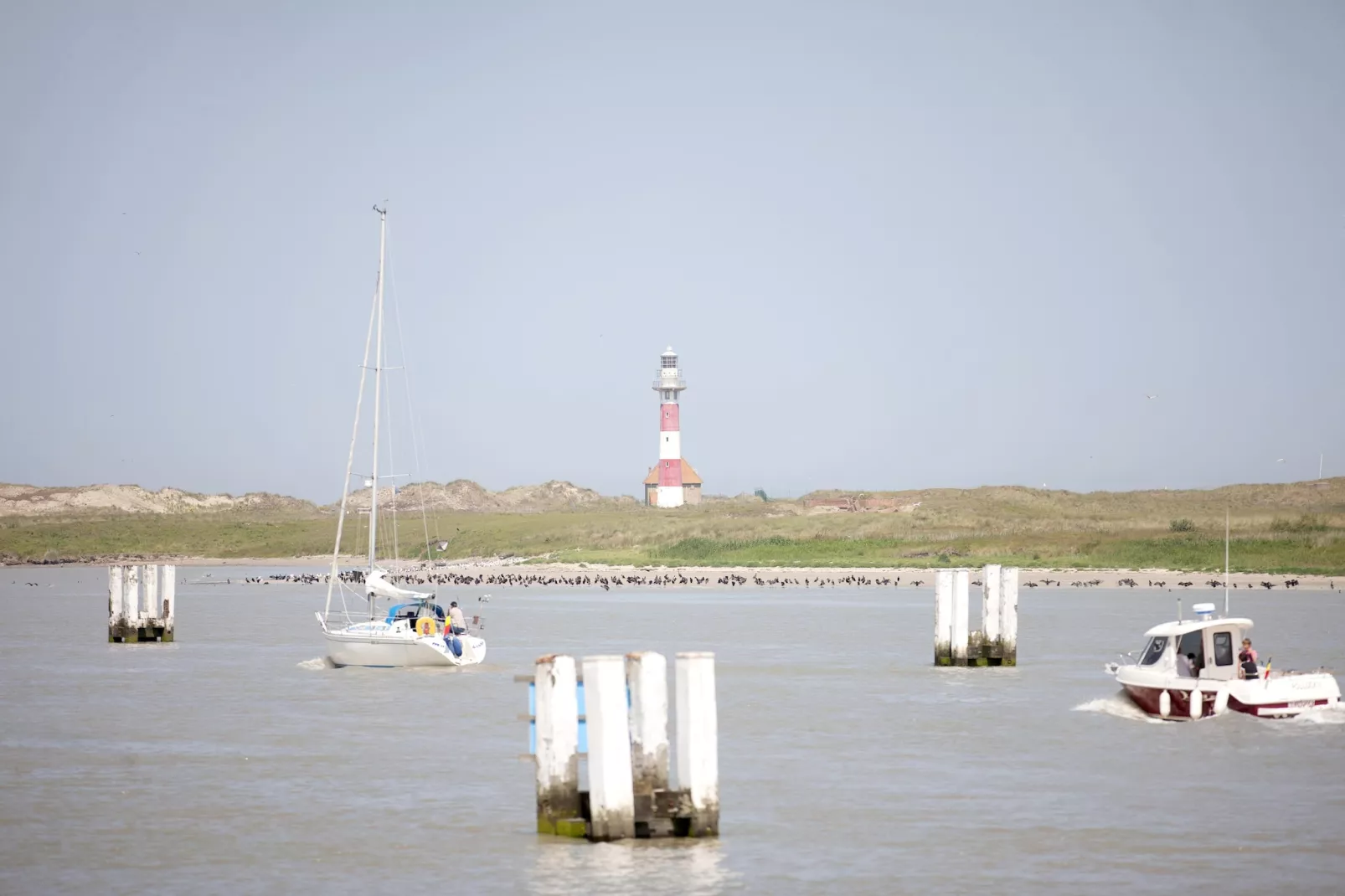 VIKING 501-Gebieden zomer 20km