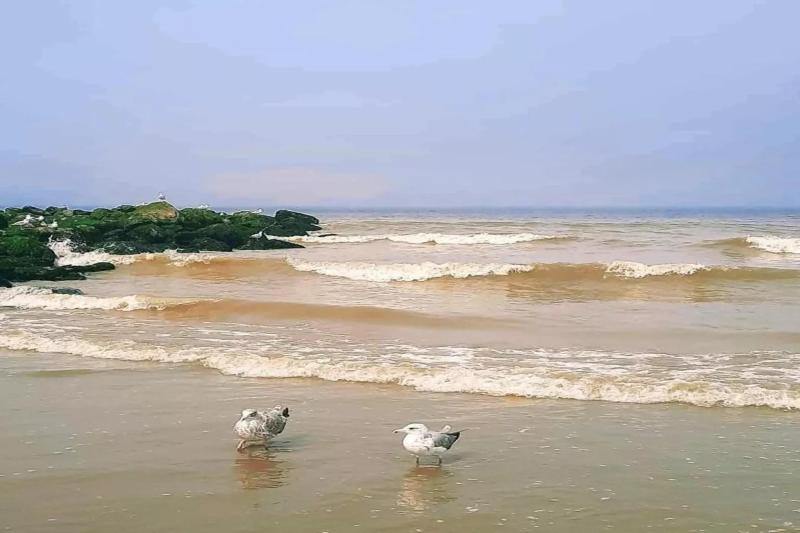 WESTDIEP 4/0701GAR-Gebieden zomer 20km