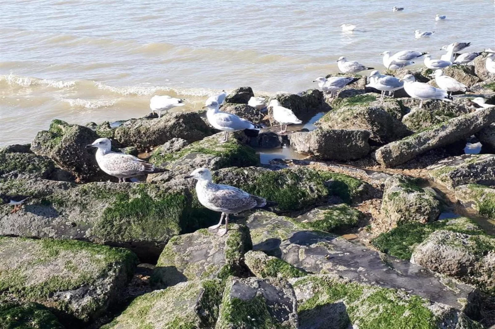 Villa Morgenlicht-Gebieden zomer 1km