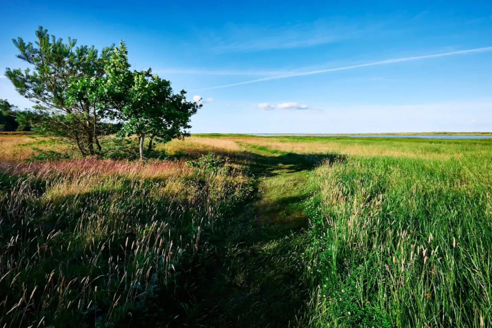 4 sterren vakantie huis in Hals-By Traum-Waterzicht