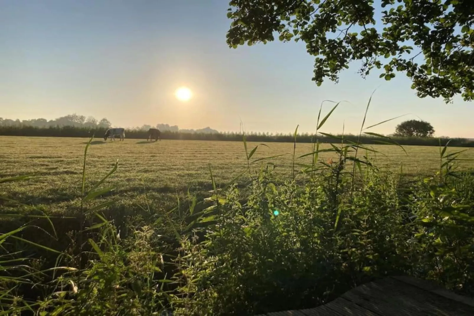 Huisje 'In de Tuin' B-Gebieden zomer 20km