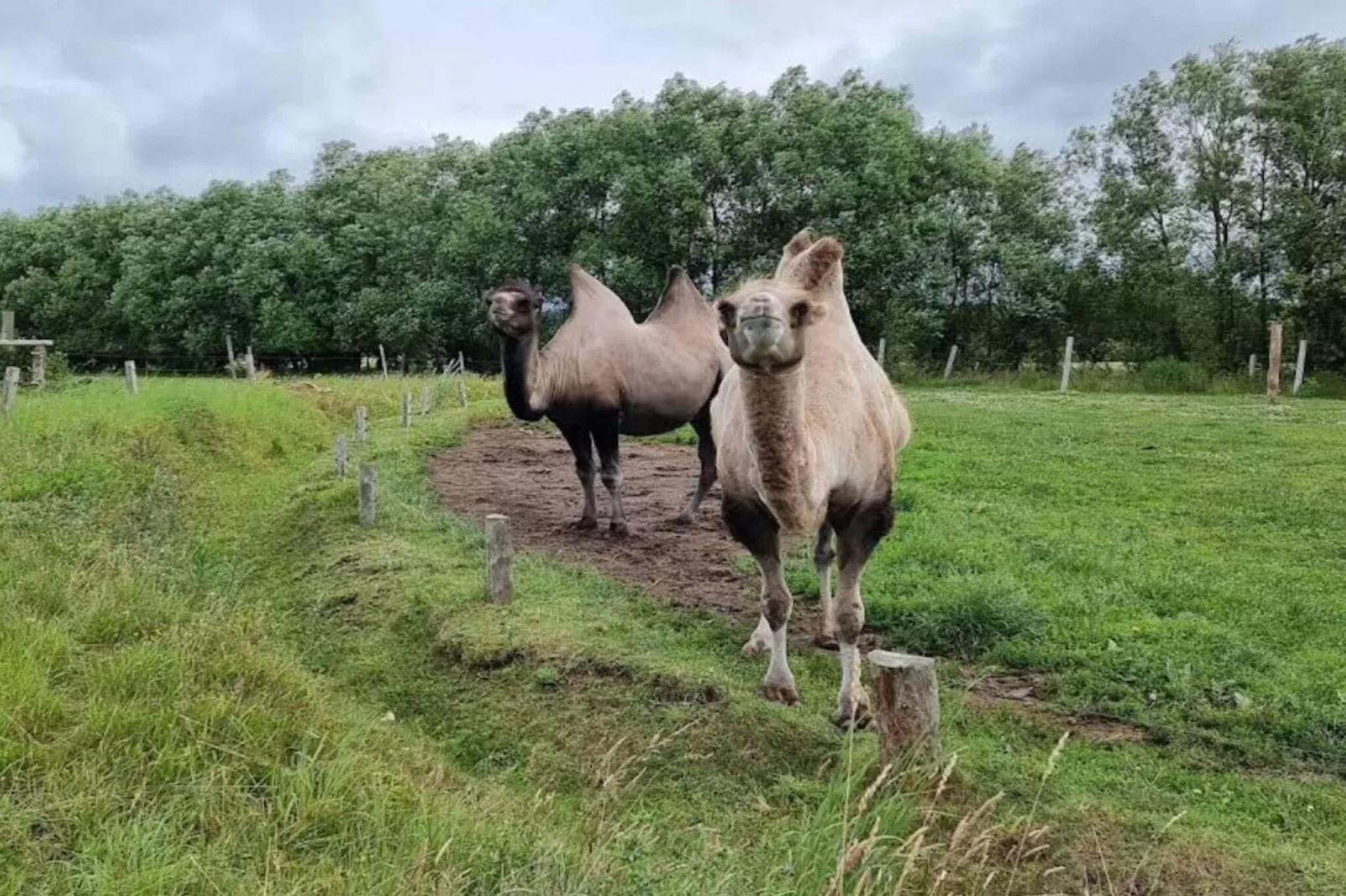 4 persoons vakantie huis in Grevinge-By Traum-Niet-getagd