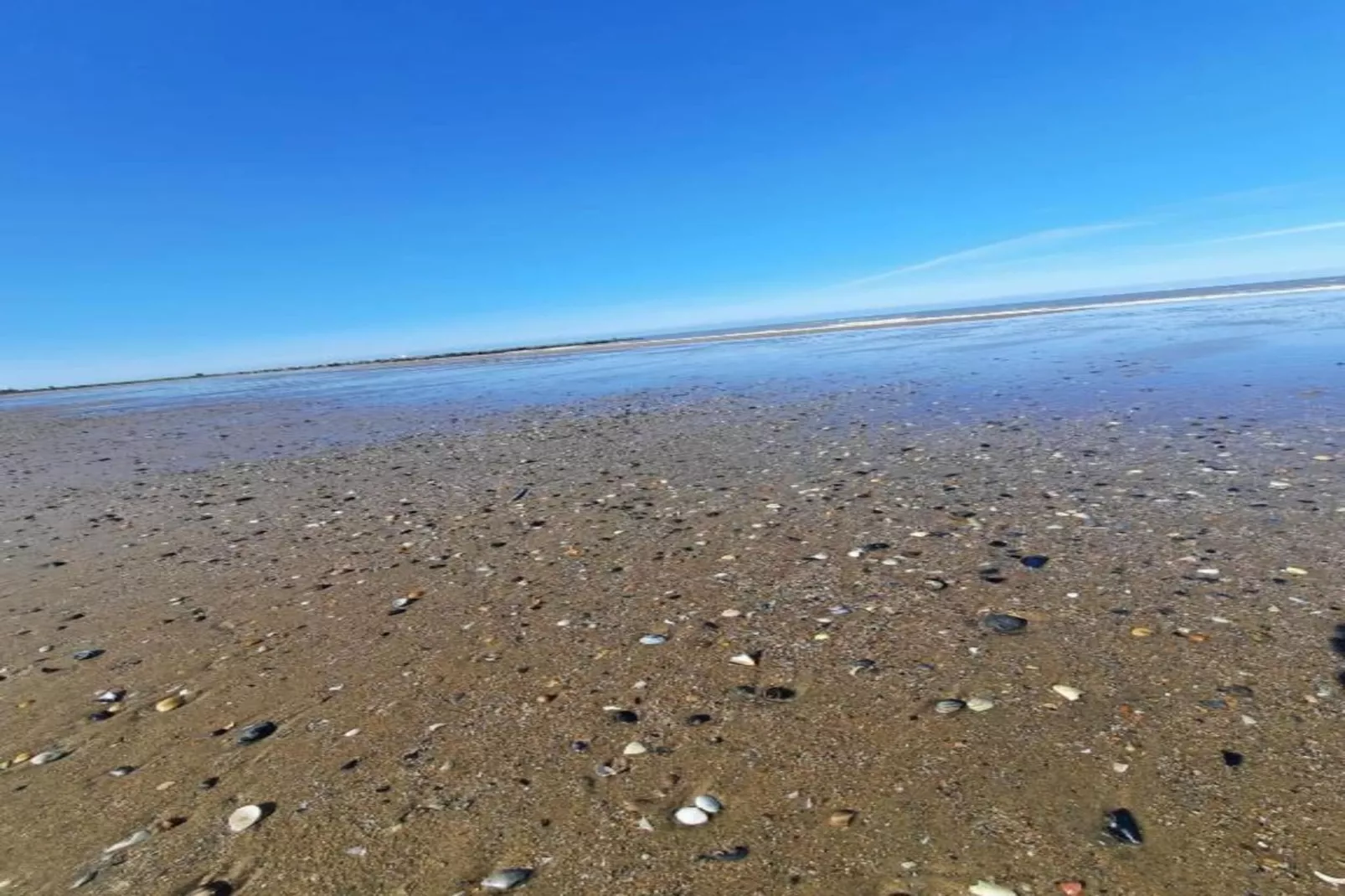 La Caravelle-Gebieden zomer 1km