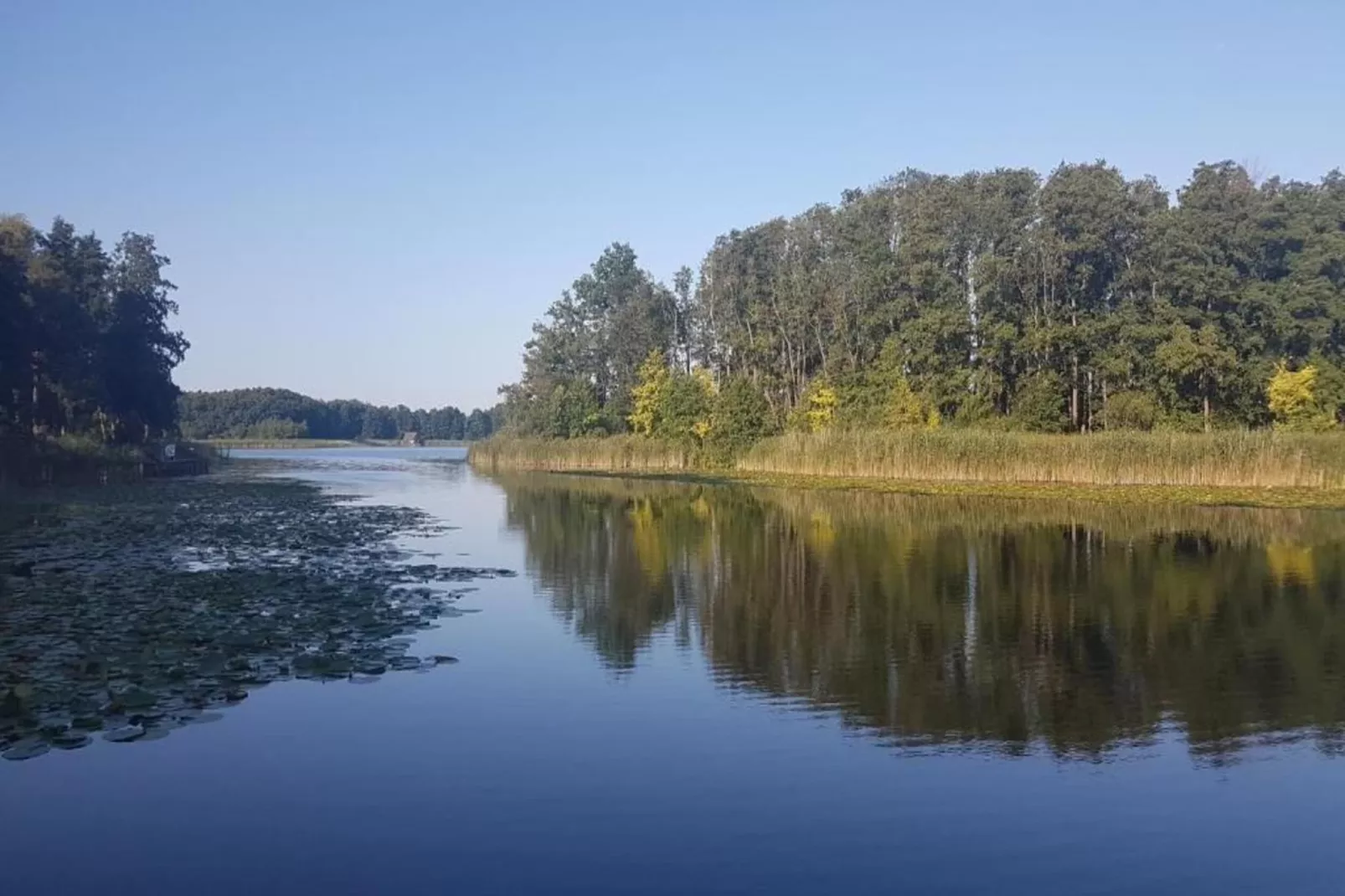 Wildgans Classic 246-Gebieden zomer 1km
