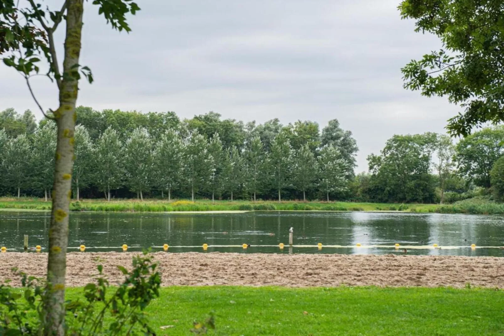 006 vrij toegankelijk-Gebieden zomer 20km