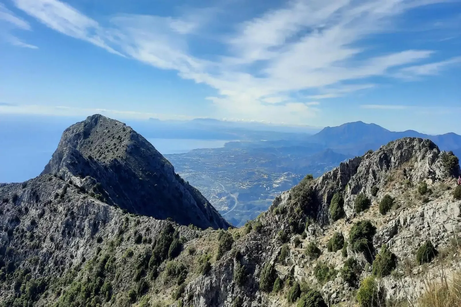 El Bosque de la Mairena-Gebieden zomer 20km