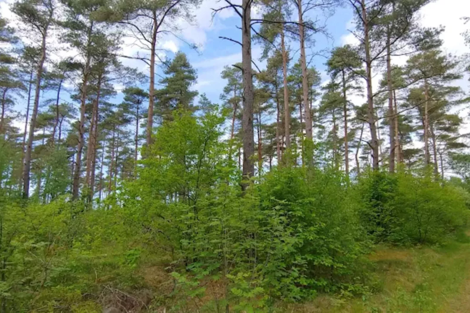 4 persoons vakantie huis in Oksbøl-By Traum-Niet-getagd