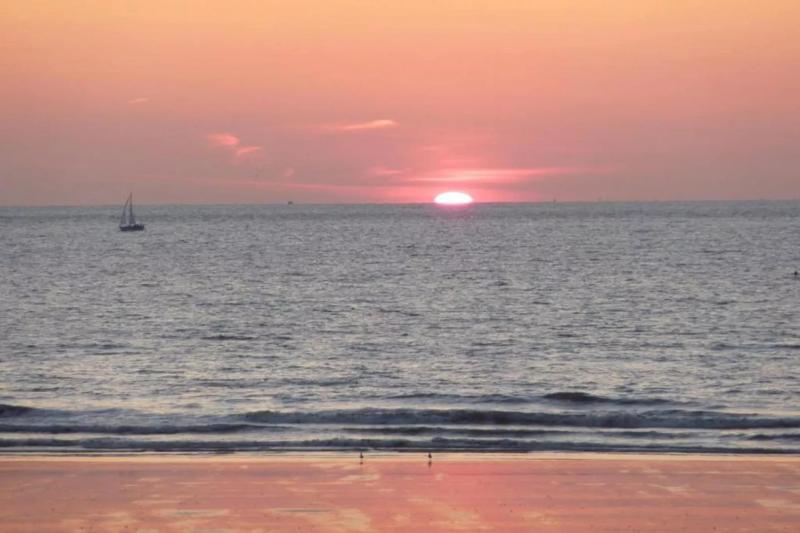 LUXEMBOURG - 8TH-Gebieden zomer 1km