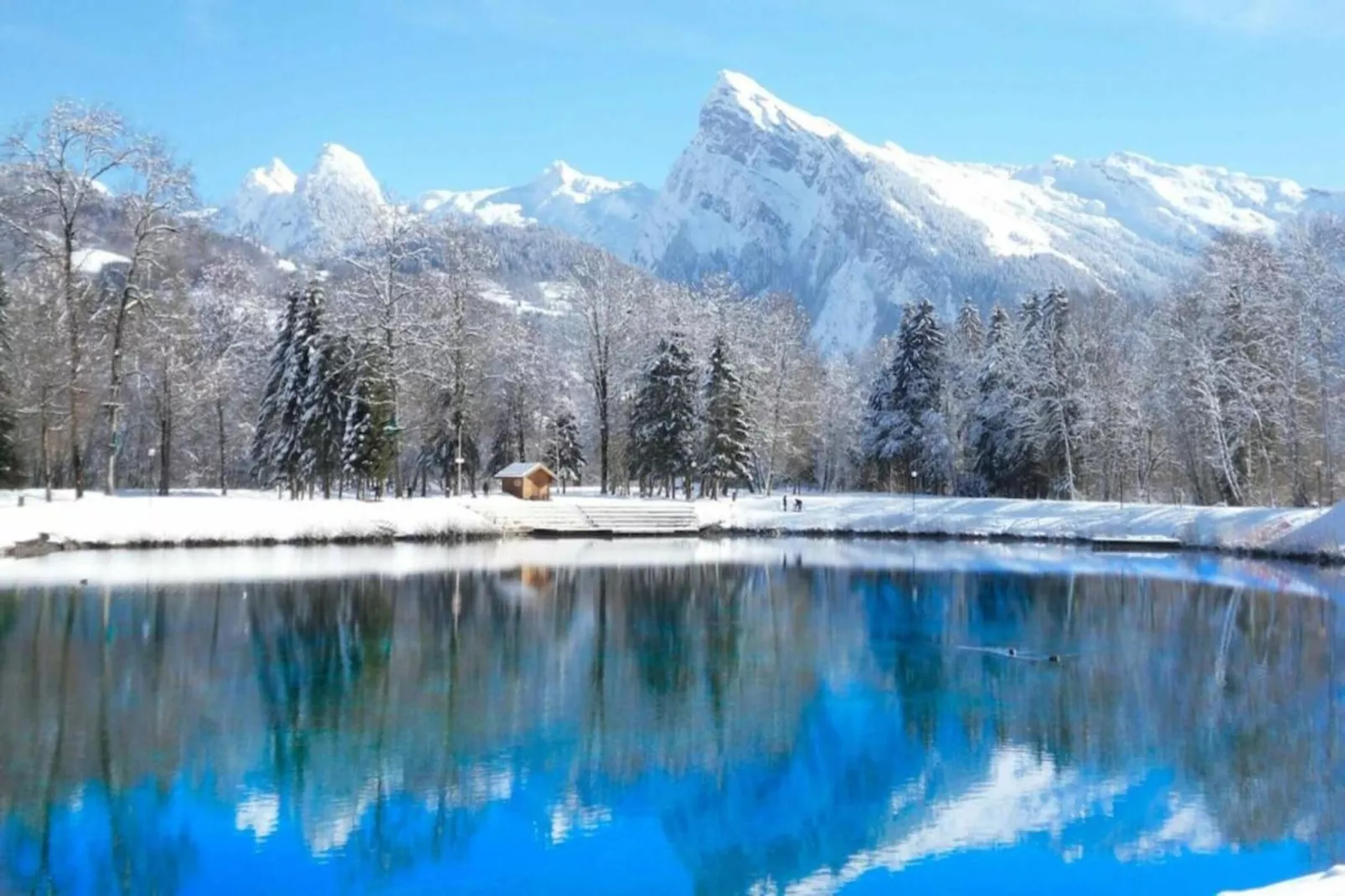 Les Sitelles N°12 - 2P6C-Gebied winter 20km