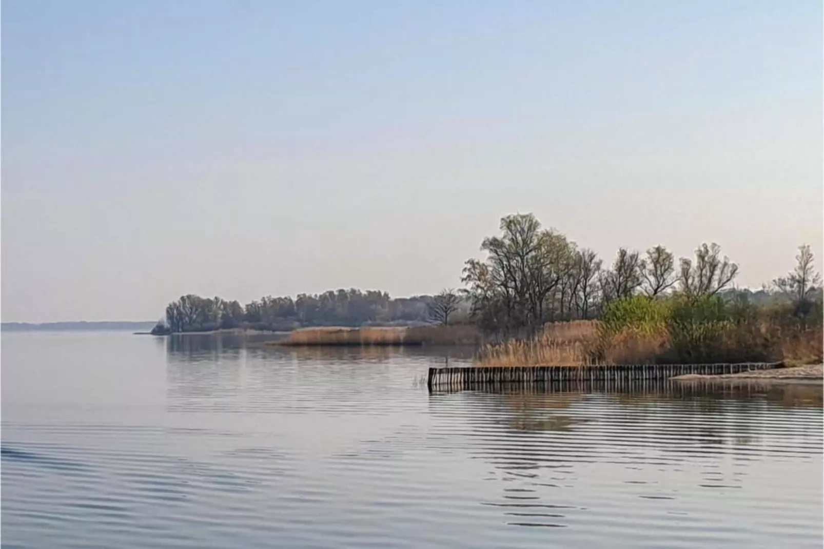 Ferienhaus Seeschwalbe-66-Gebieden zomer 1km