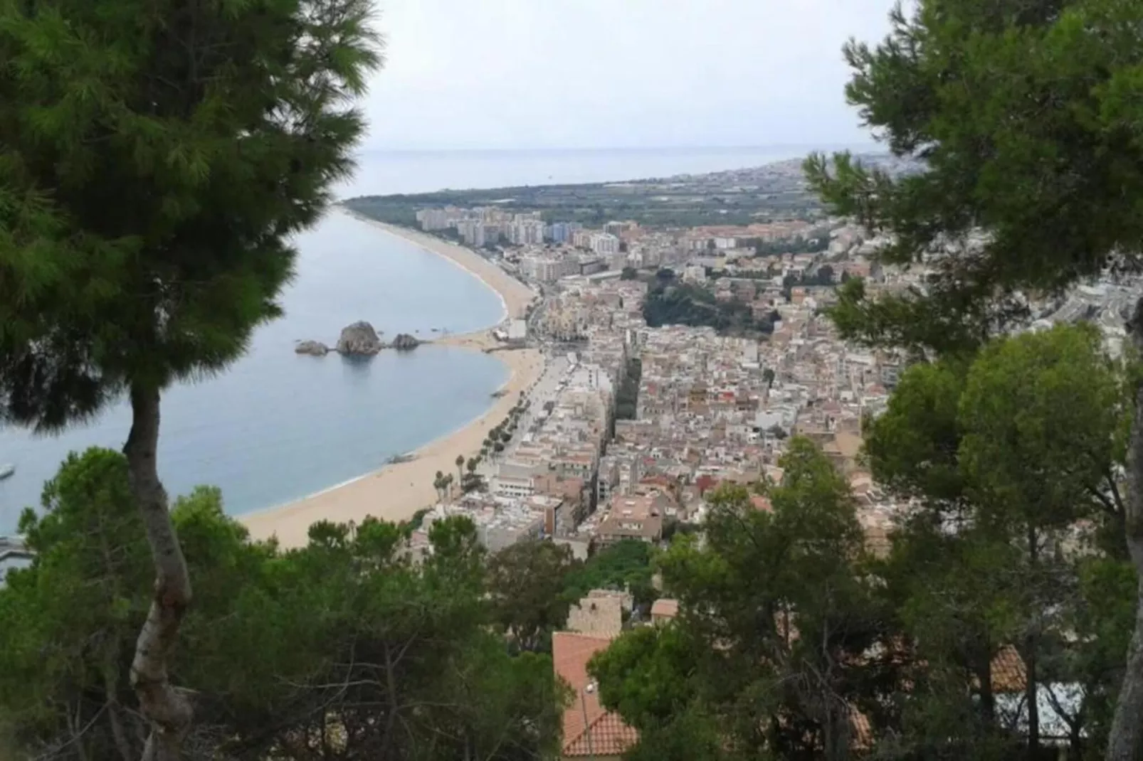 Mas Guelo-Gebieden zomer 20km