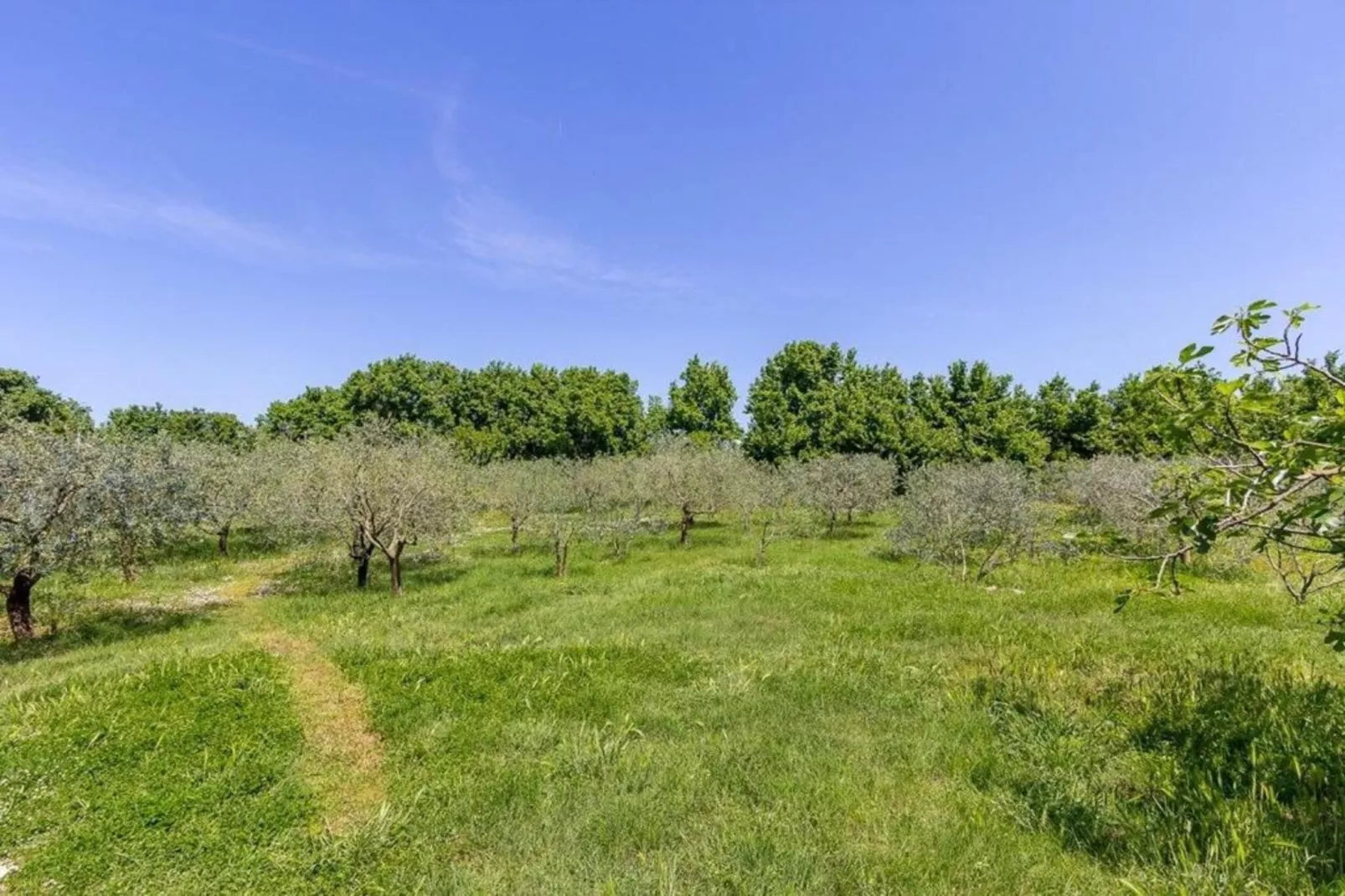 Flower Garden by M&A - Lovely Apartment (A)-Gebieden zomer 5km