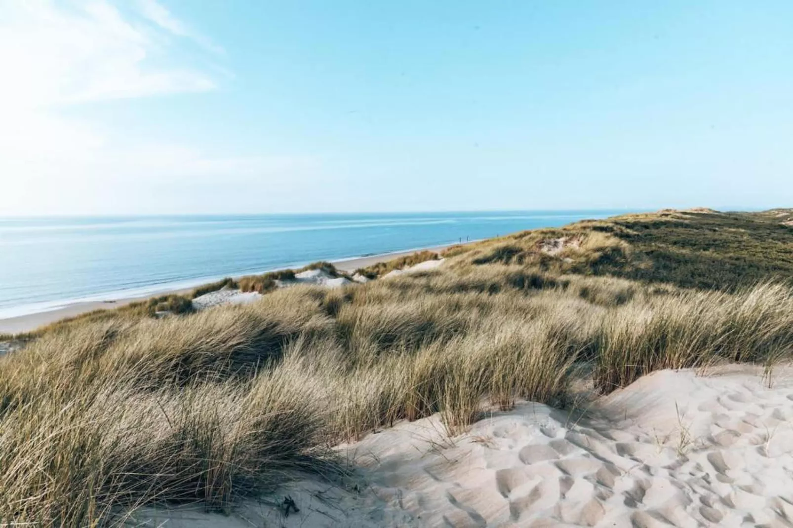 Vakantiepark Duynzicht 2-Gebieden zomer 20km