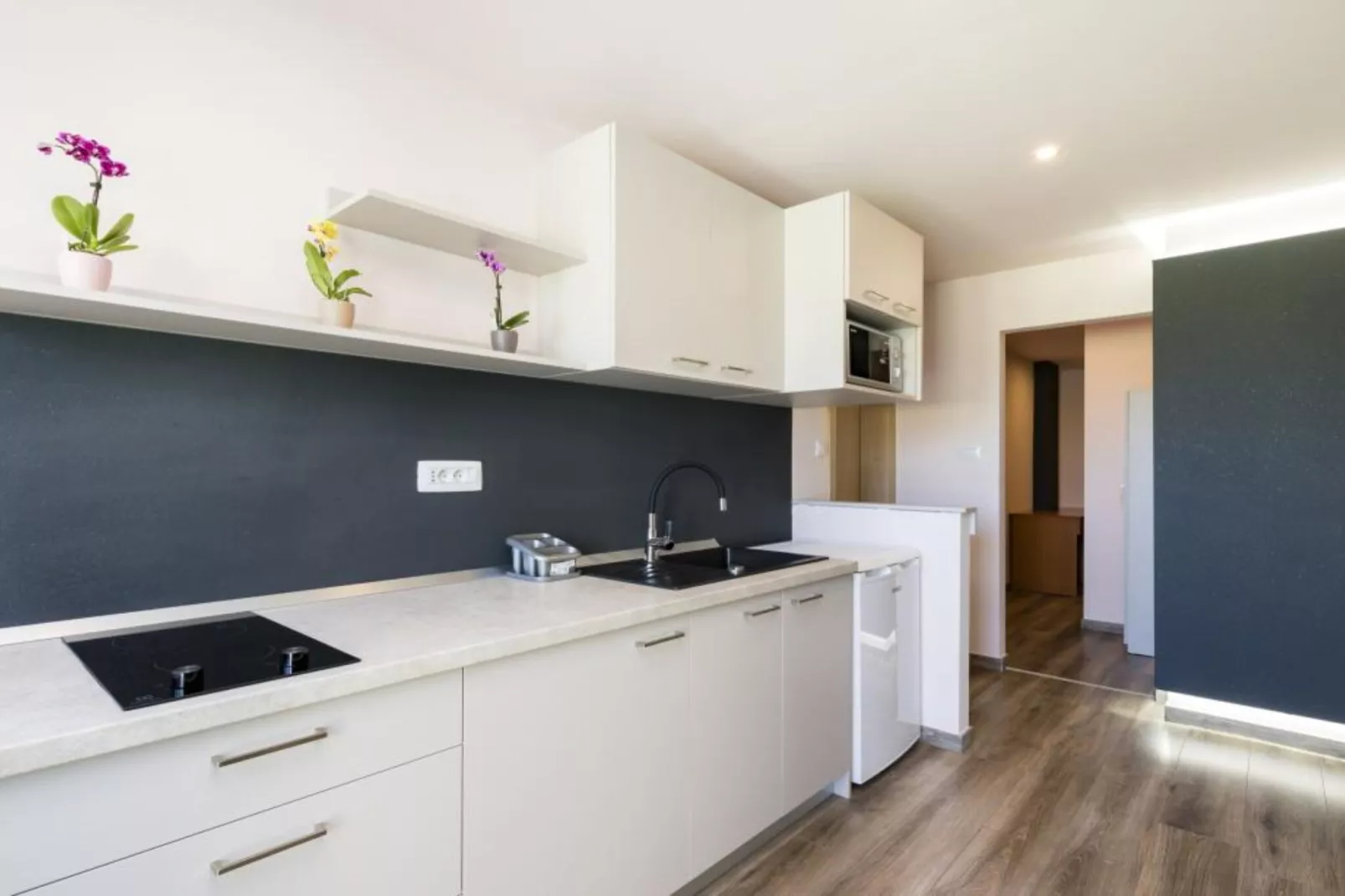 Pansion Belvedere - One Bedroom Apartment with Terrace (Vespera)-Keuken