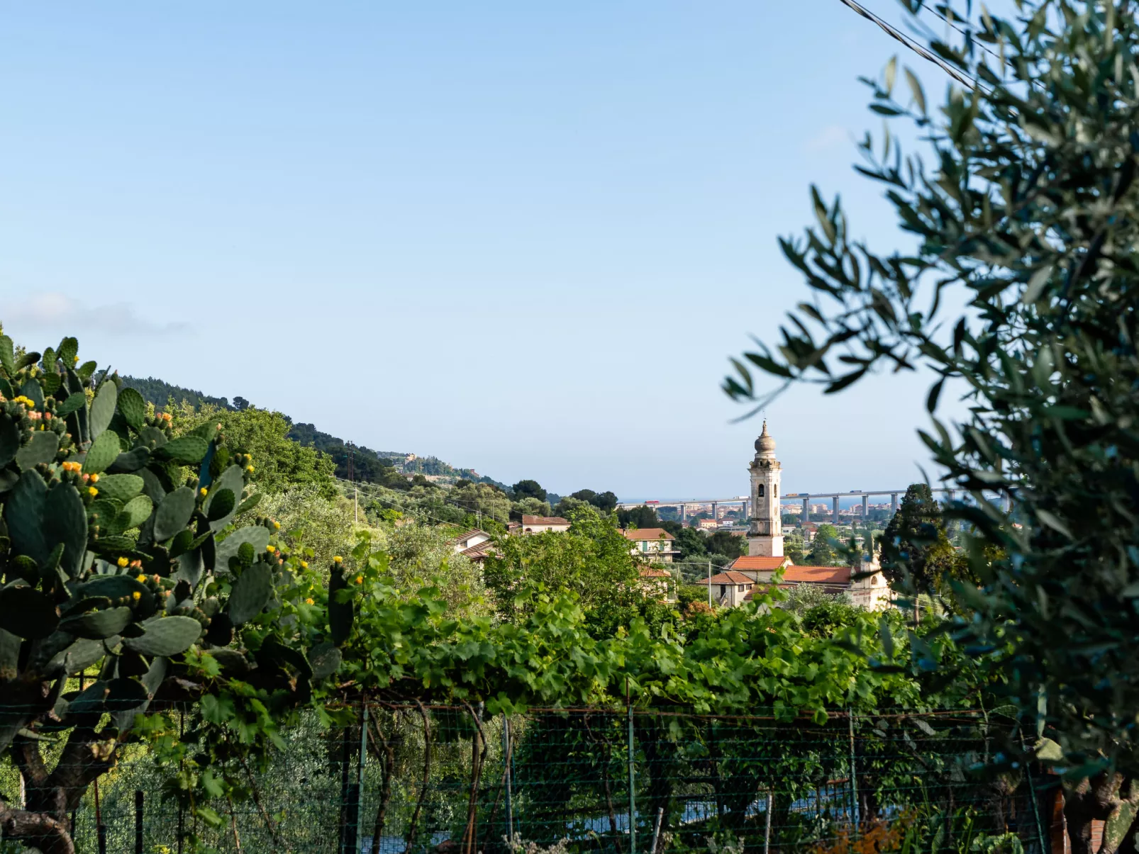La Bouganville - Rustico con giardino-Buiten