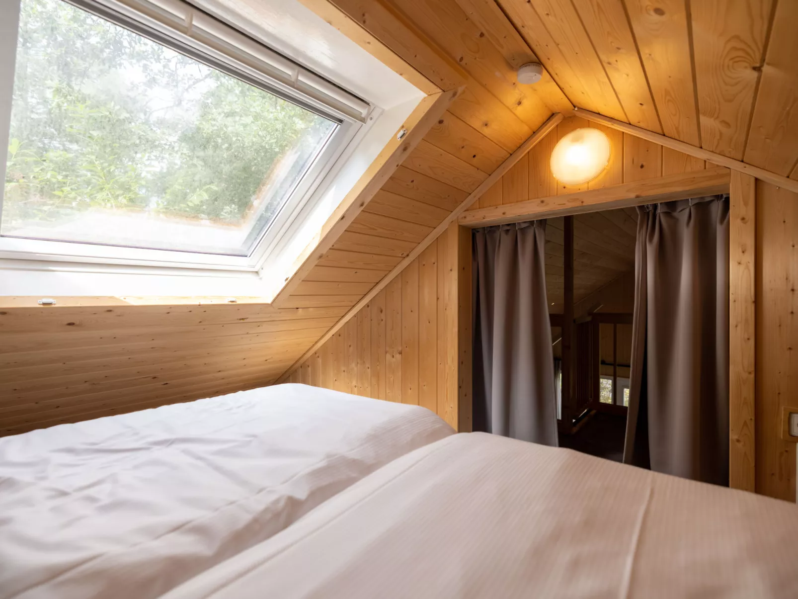 Boslodge-Binnen