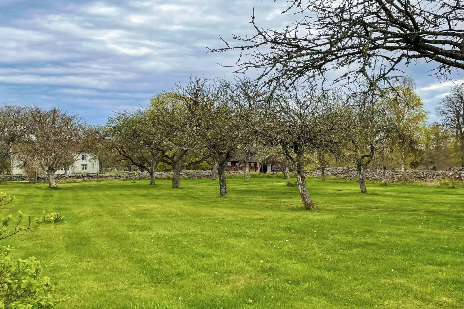 4 sterren vakantie huis in HALTORP-Buitenlucht