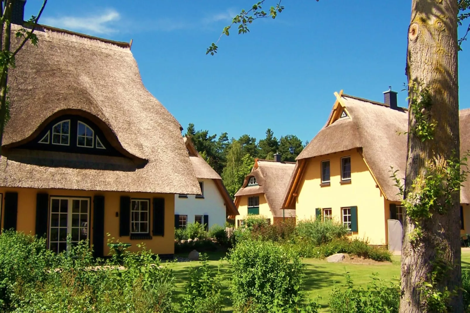Ferienhaus Küstenwald klein - Strandhotel Fischland-Buitenkant zomer