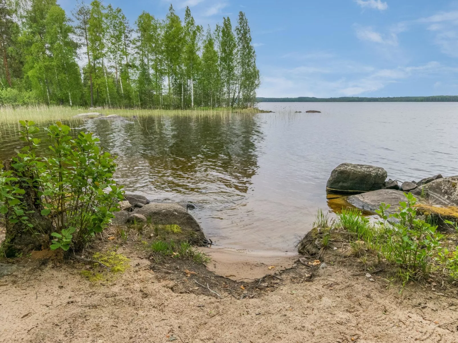 Tervapääsky-Binnen