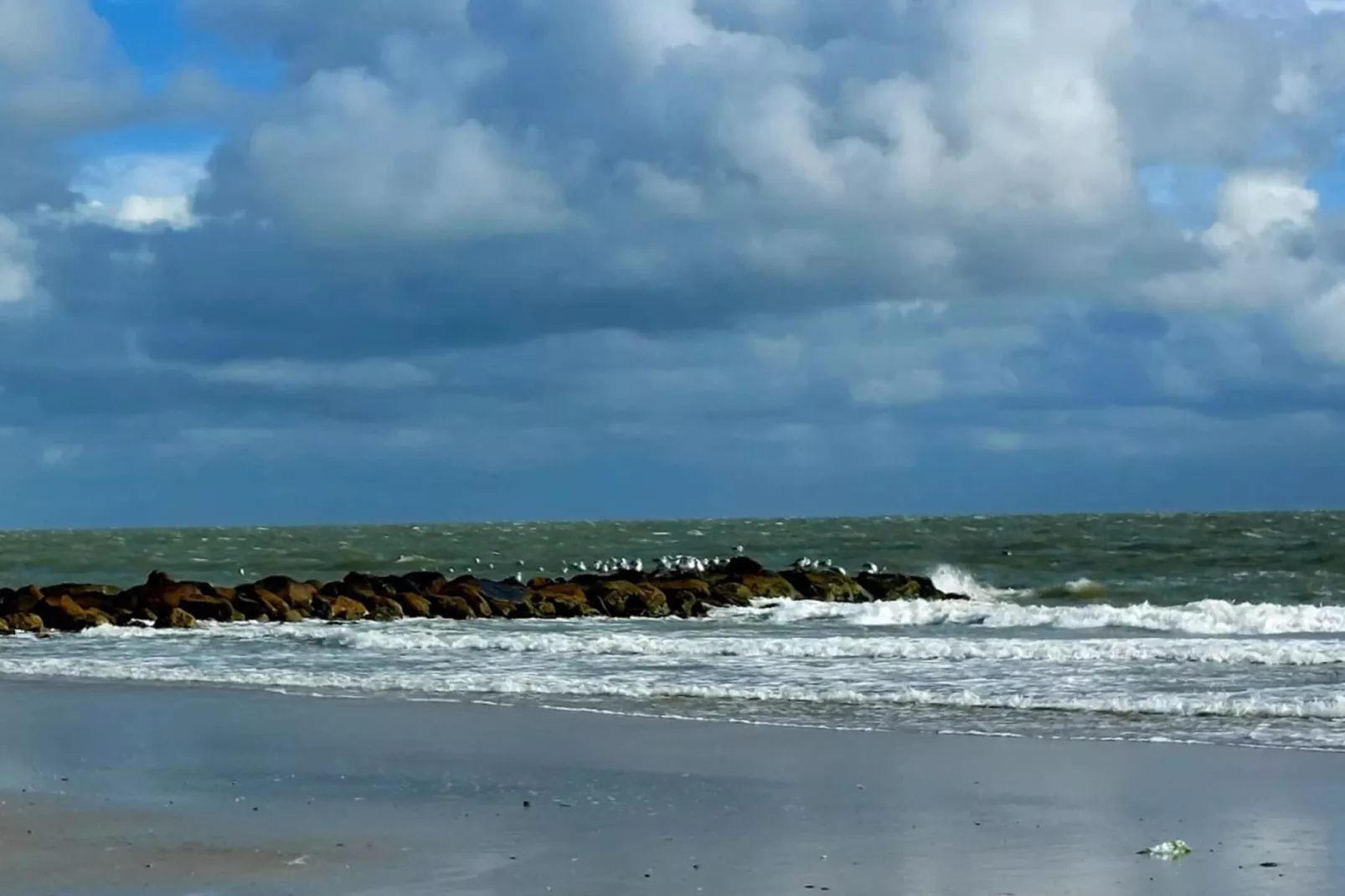 8 persoons vakantie huis in Blåvand-Waterzicht
