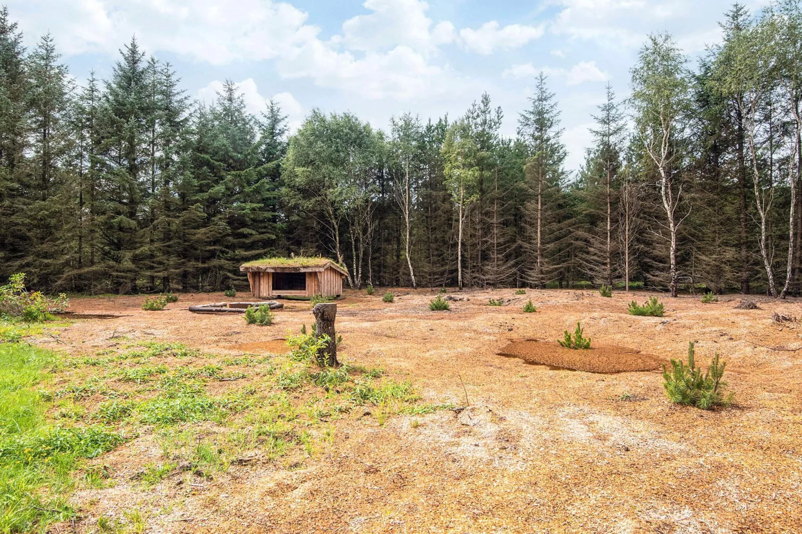 Vakantieoase in de natuur van Houstrup-Buitenlucht