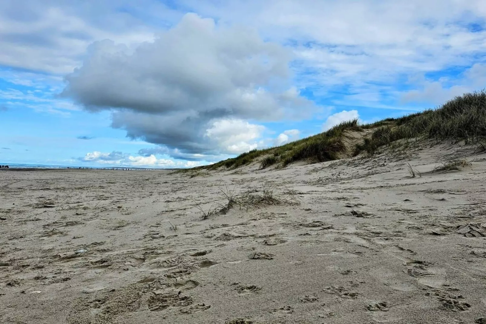 8 persoons vakantie huis in Henne-Niet-getagd
