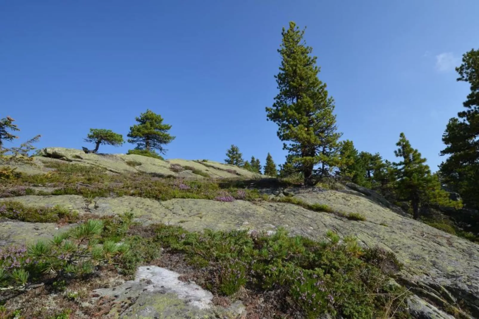 Appartement Mitterberg-Gebieden zomer 20km