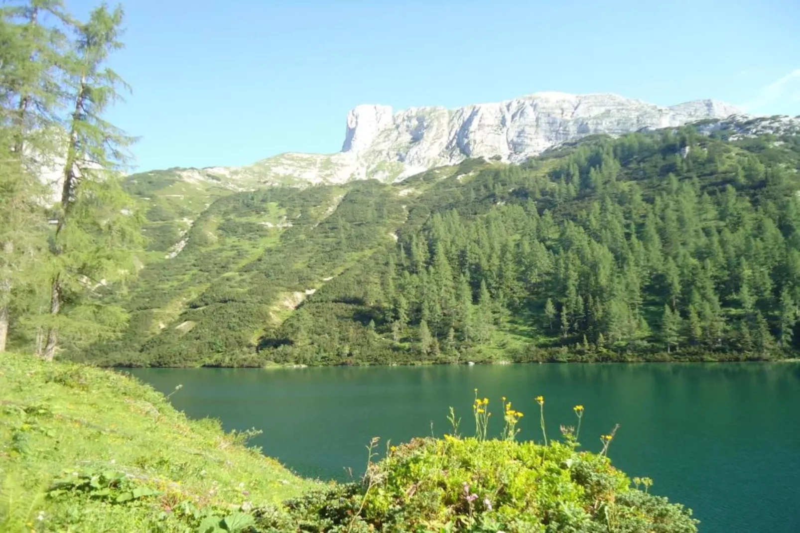 Appartement Tauplitz-Gebieden zomer 20km