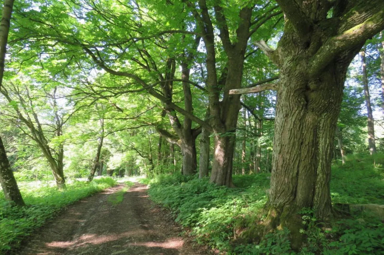 Fara-Gebieden zomer 5km