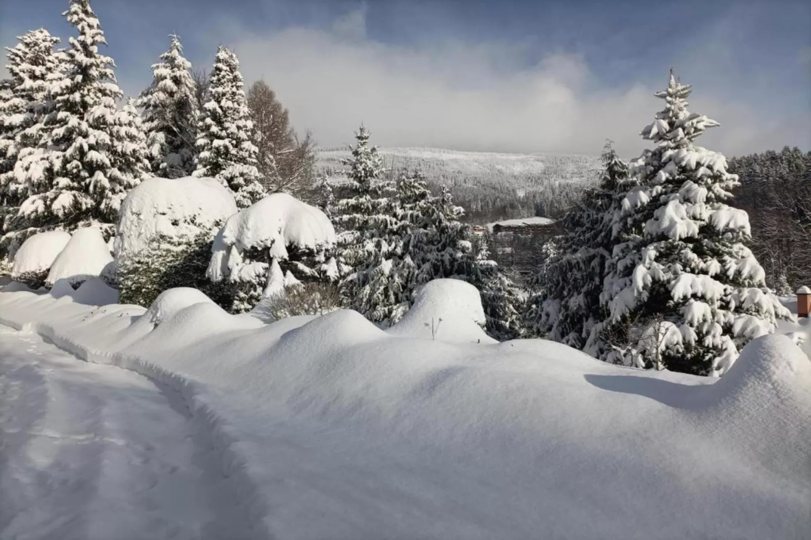 Rokytno-Gebied winter 20km