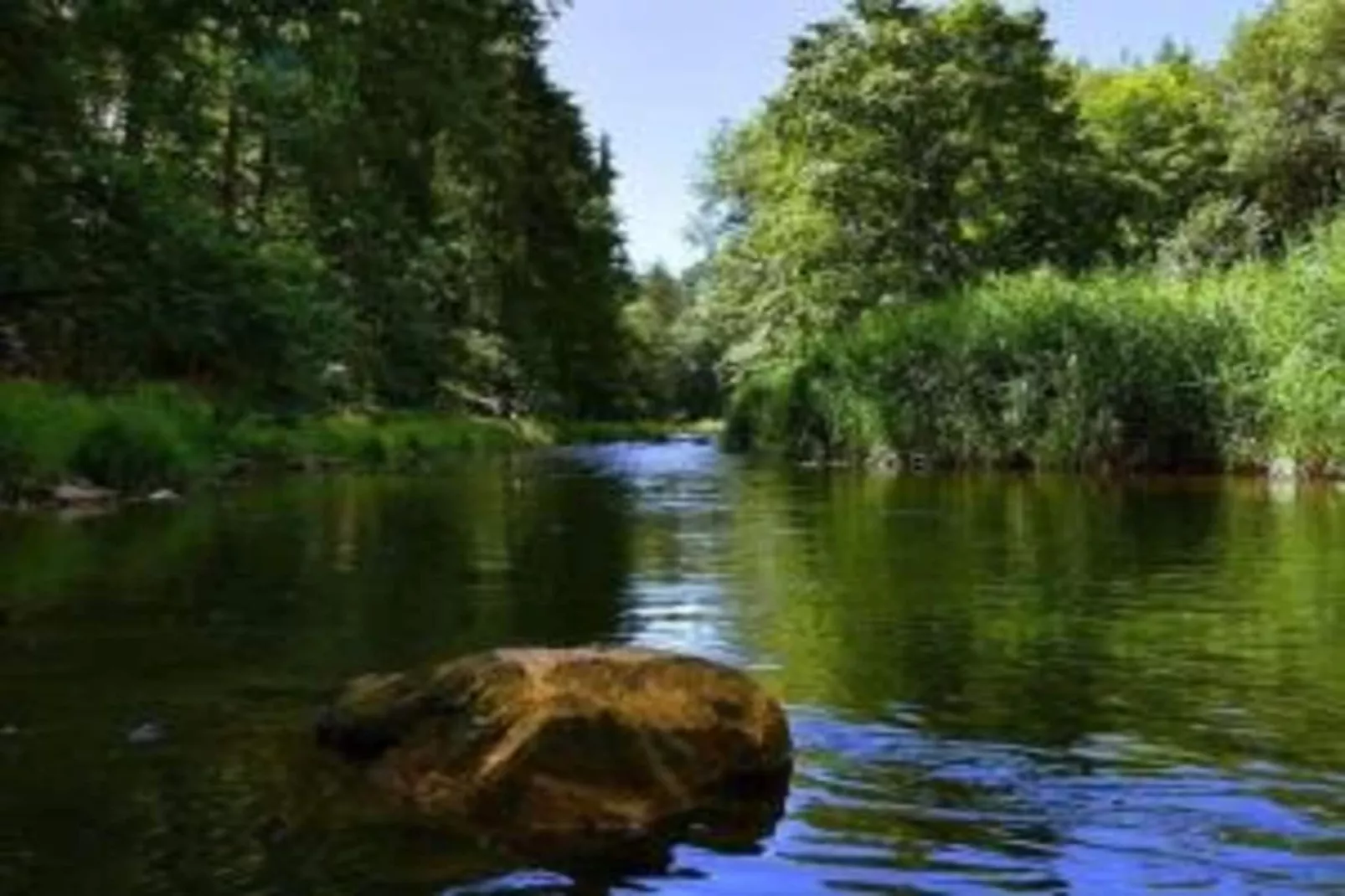 Villa Rotschönberg-Gebieden zomer 20km