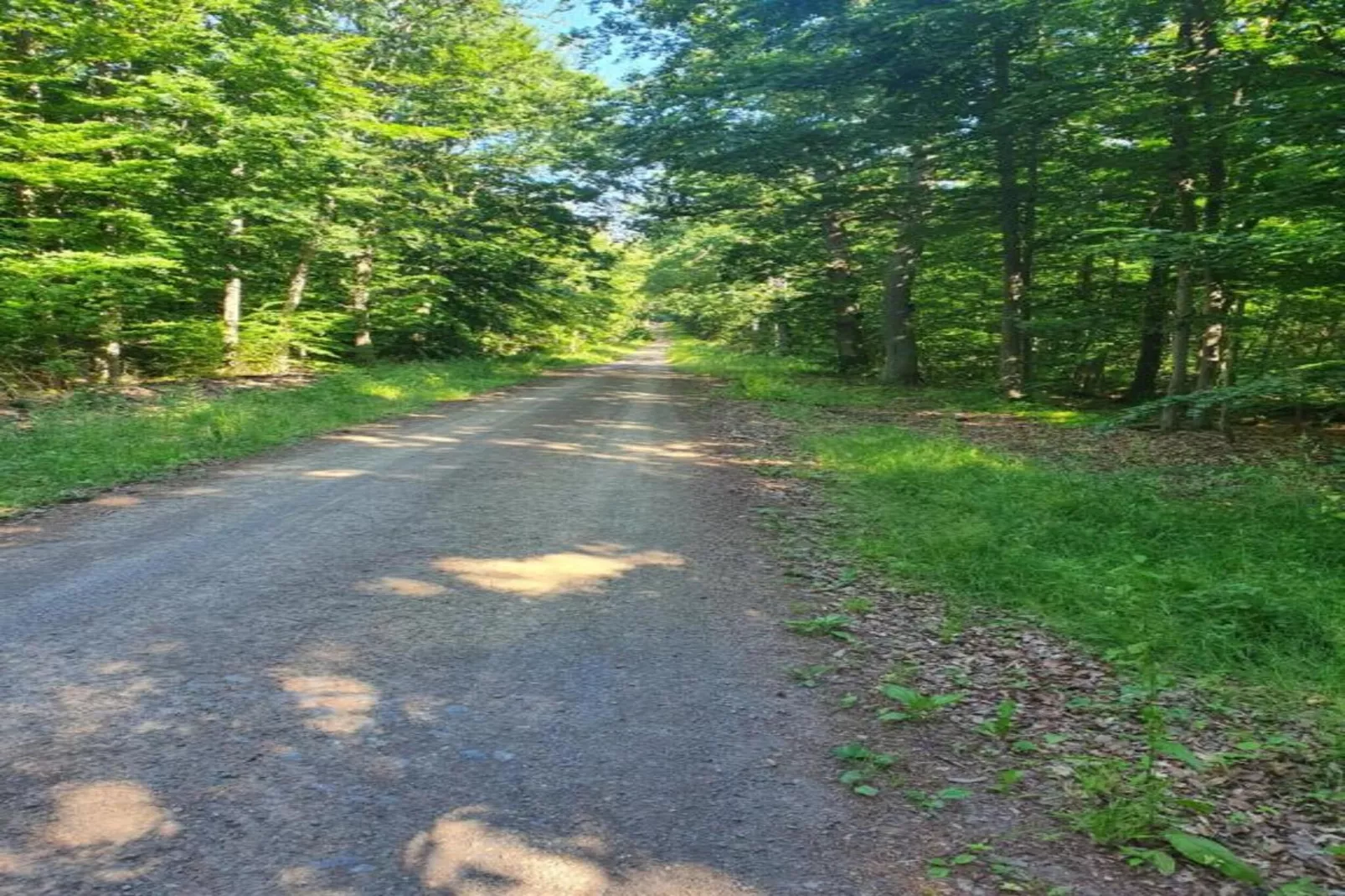 Holzhaus Ute-Gebieden zomer 20km