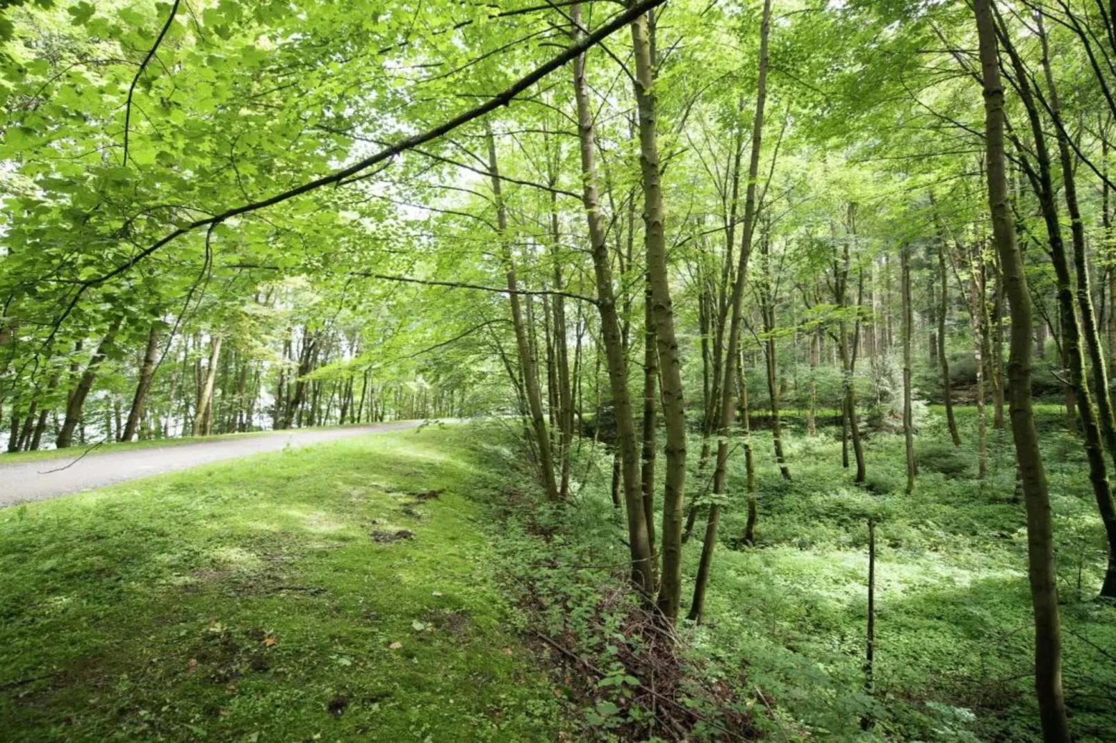 Vogtland-Gebieden zomer 20km