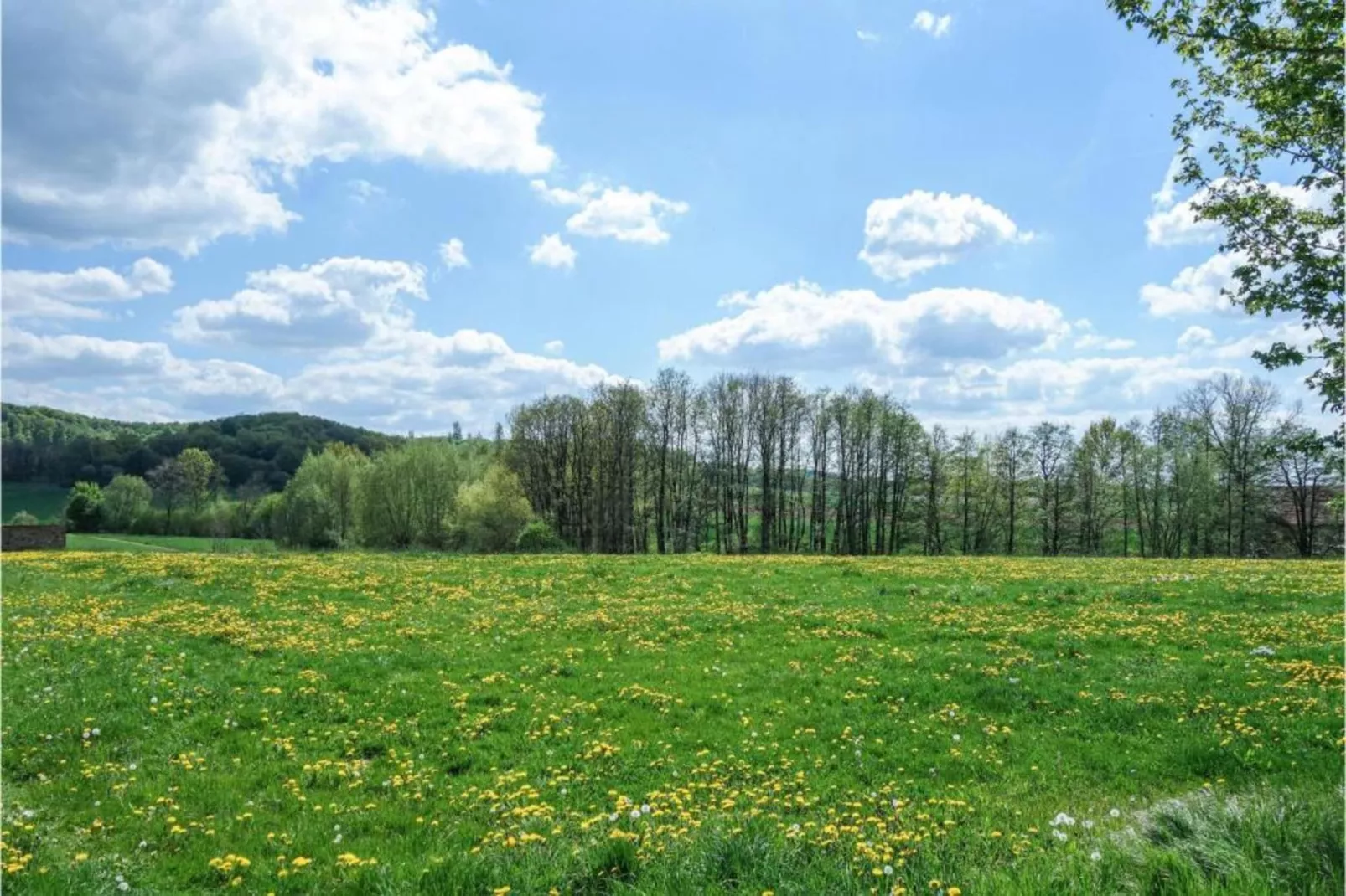 Feriendorf Natur pur 1-Gebieden zomer 20km