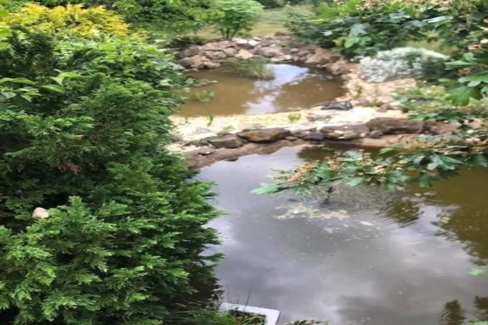 Ferienhaus im Harz-Gebieden zomer 5km