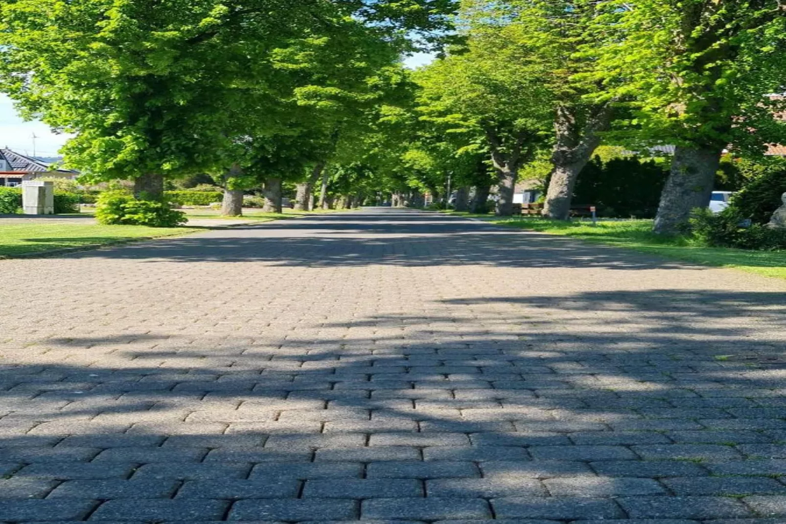 Katja-Gebieden zomer 20km