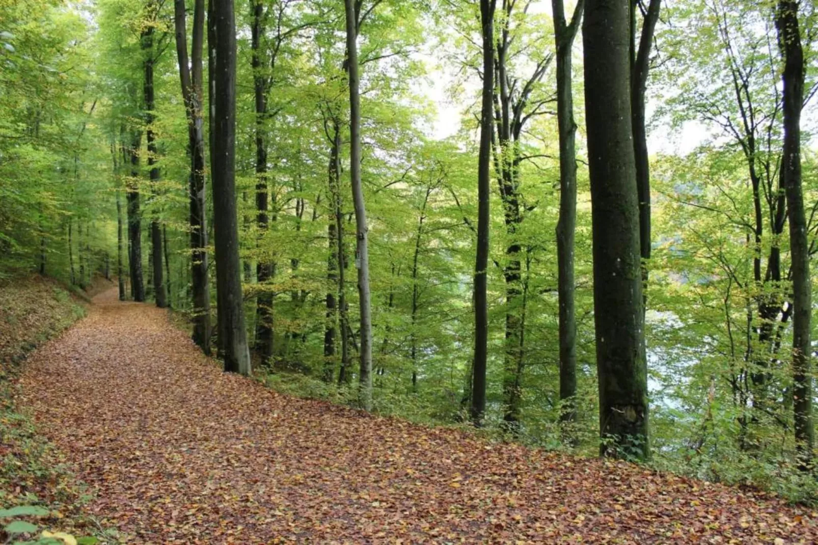 Denterhof-Gebieden zomer 20km