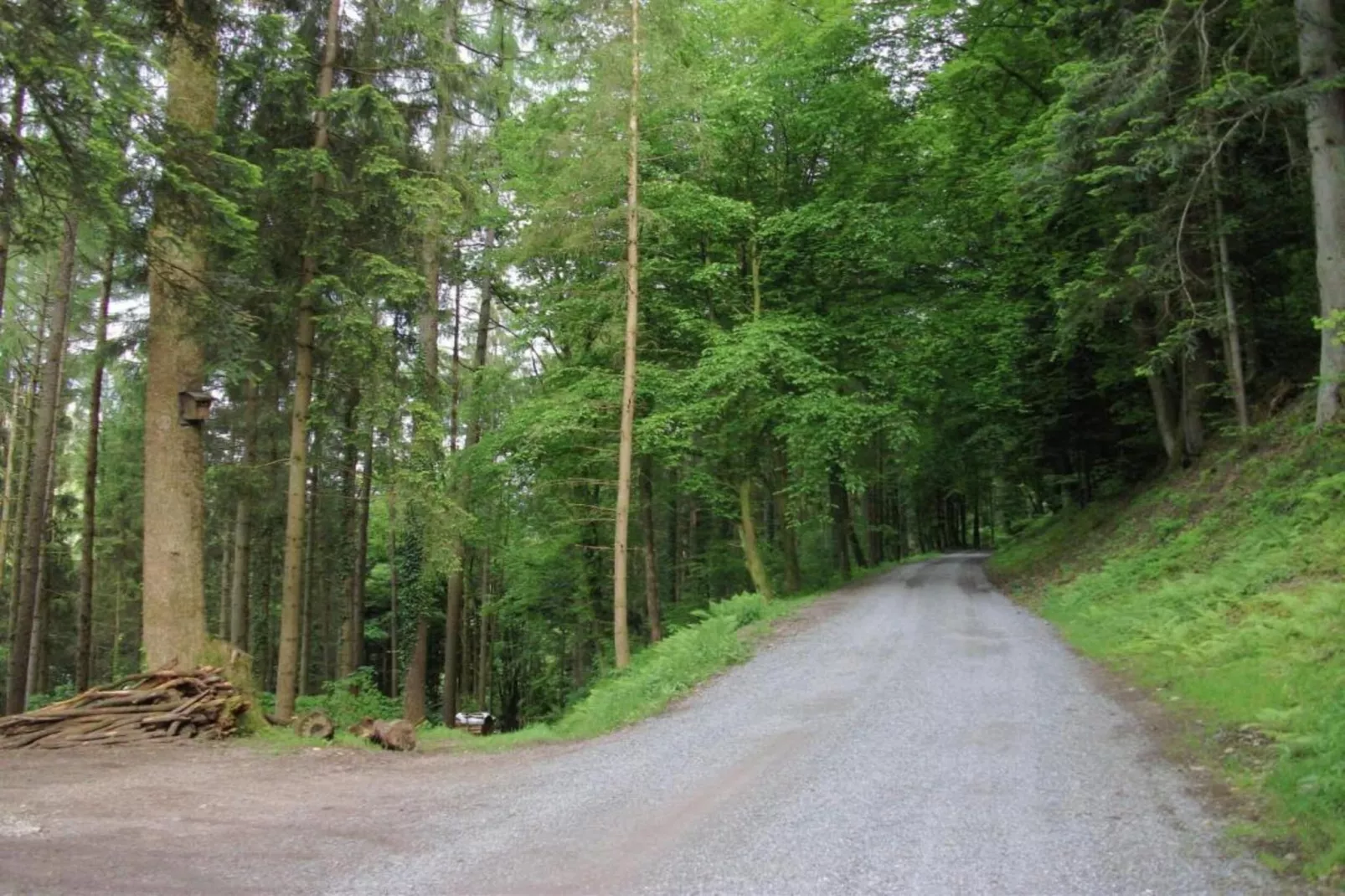 Panoramablick-Gebieden zomer 20km