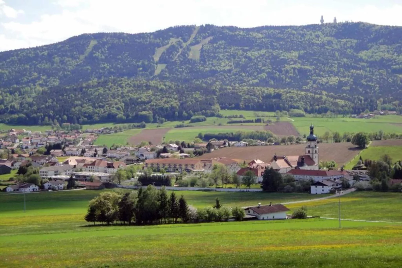 Bayerischer Wald-Gebieden zomer 20km