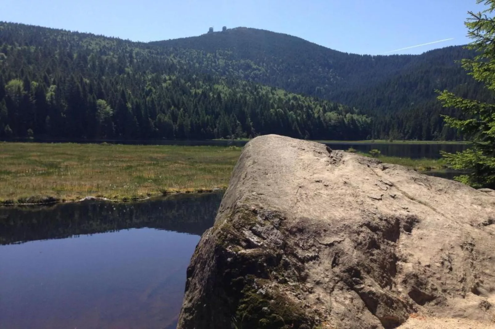 Vakantiehuis met sauna in het Beierse Woud-Gebieden zomer 20km