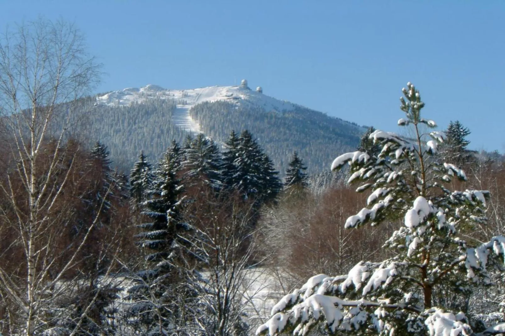 Bayerwald-Gebied winter 20km