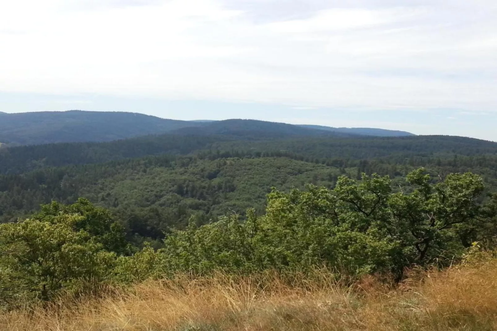 Mosbach-Gebieden zomer 5km